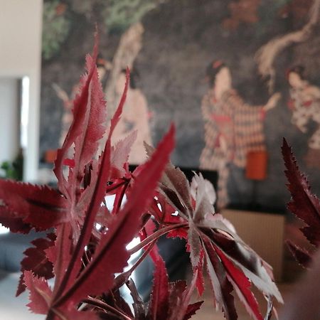 Le Boutique Luxury Rooms Diffused In Historic Center 菲乌米奇诺 外观 照片
