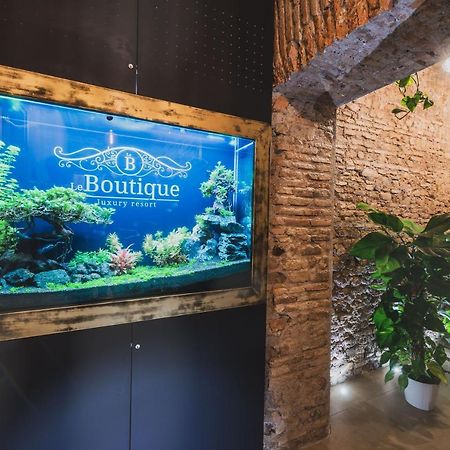 Le Boutique Luxury Rooms Diffused In Historic Center 菲乌米奇诺 外观 照片