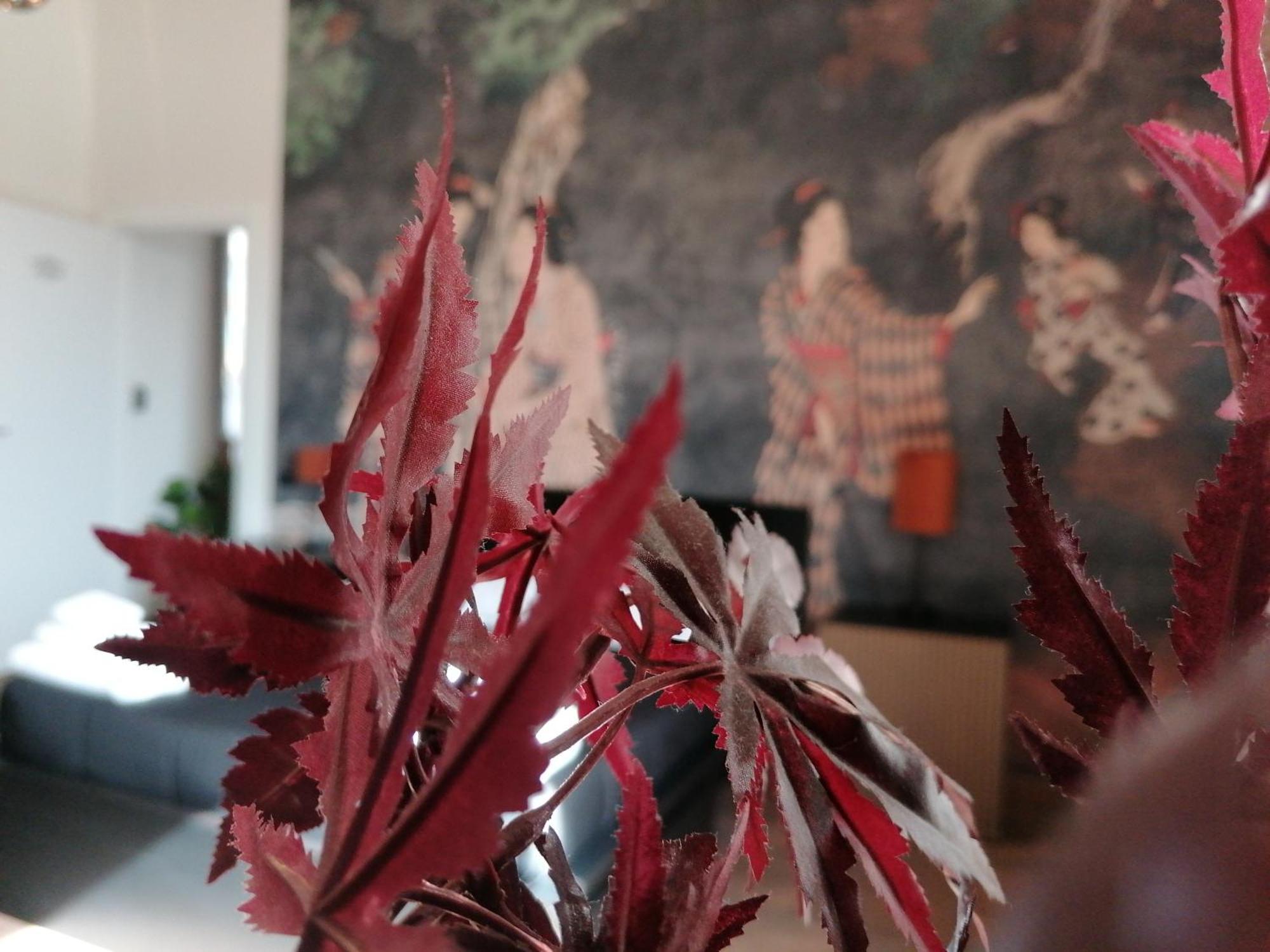 Le Boutique Luxury Rooms Diffused In Historic Center 菲乌米奇诺 外观 照片