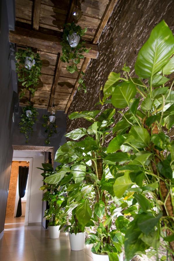 Le Boutique Luxury Rooms Diffused In Historic Center 菲乌米奇诺 外观 照片